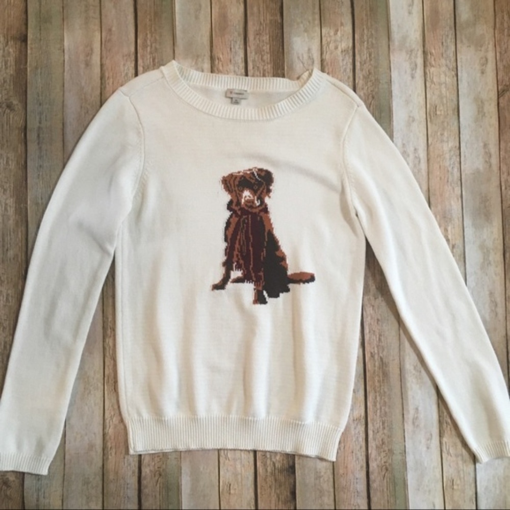 Daniel Cremieux Cozy Soft Dog Sweater White XS